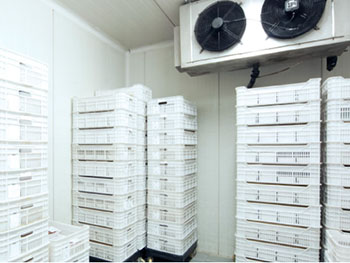 equipement frigo