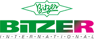 logo icesta