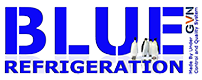 logo icesta